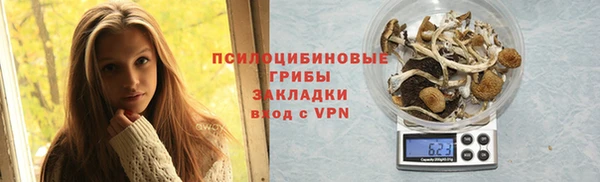 прущие грибы Балахна