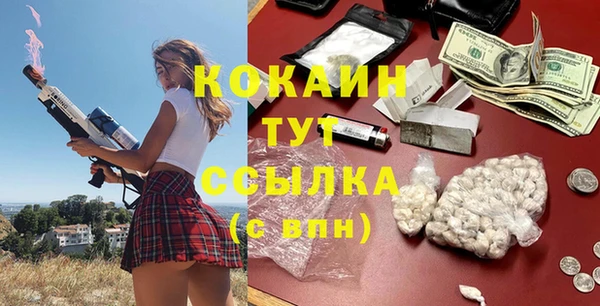 прущие грибы Балахна