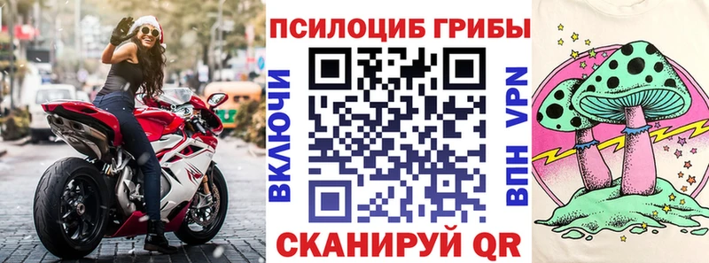 Псилоцибиновые грибы прущие грибы  это формула  Новоуральск 